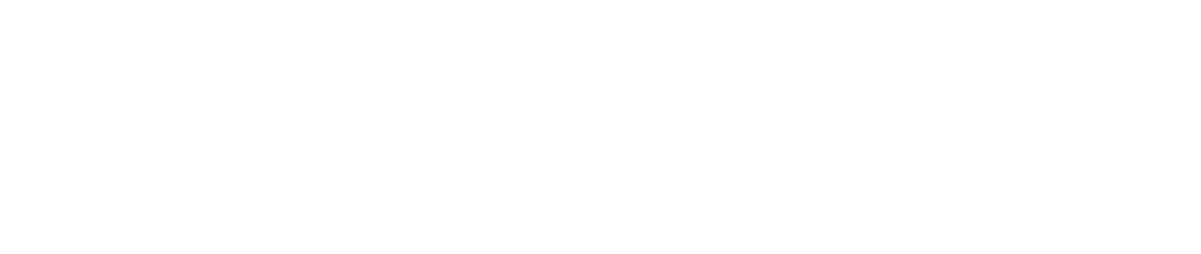 nubavision.com